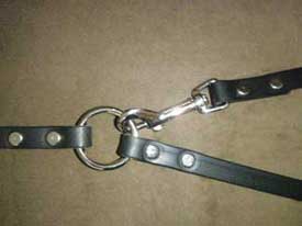 dog leashes for dog walkers